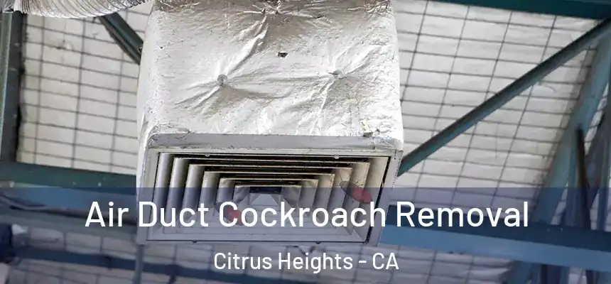  Air Duct Cockroach Removal Citrus Heights - CA