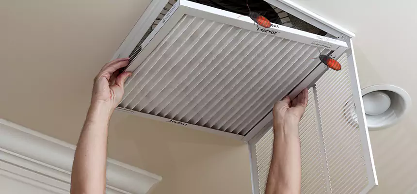 Preventive Cockroach-Proofing for Ducts in Citrus Heights