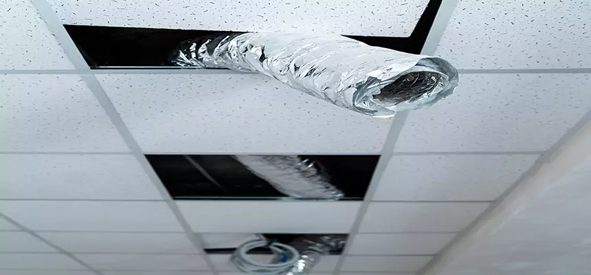 Our Air Duct Pet Hair Removal Services in Citrus Heights, CA