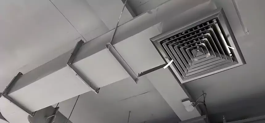 Restorative Allergy Relief Vent Cleaning – Coil, Blower & Housing Detail in Citrus Heights