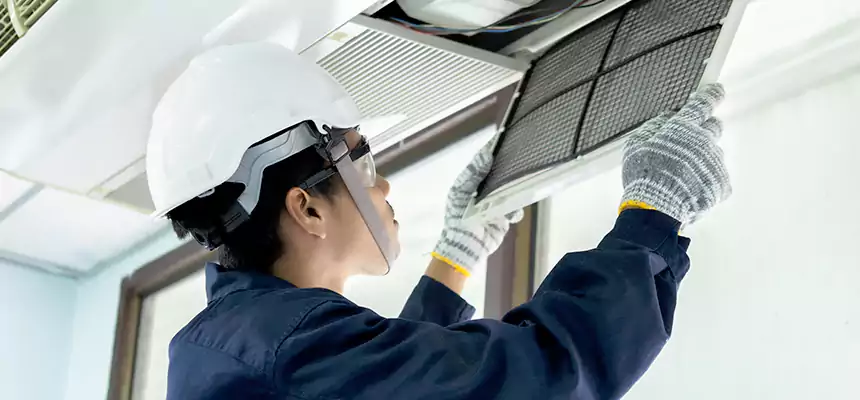 Our Mold & Mildew Removal from Air Ducts Services in Citrus Heights, CA