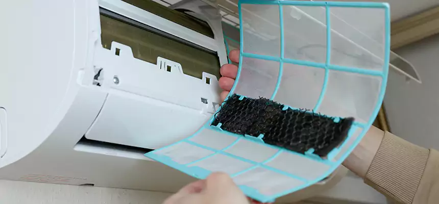 Gentle Ductwork Odor-Control Pet Dander Duct Cleaning in Citrus Heights, CA