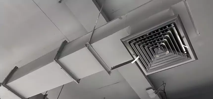 Our Rodent Droppings In Vents Services in Citrus Heights, CA