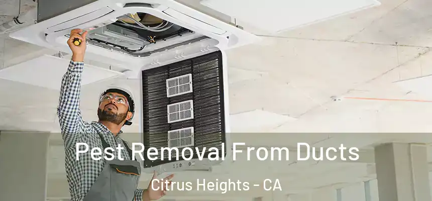 Pest Removal From Ducts Citrus Heights - CA
