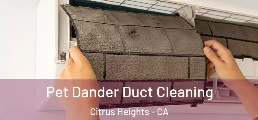  Pet Dander Duct Cleaning Citrus Heights - CA