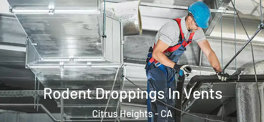  Rodent Droppings In Vents Citrus Heights - CA