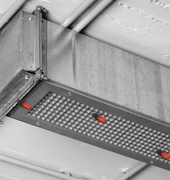 About Air Duct Cockroach Removal in Citrus Heights, CA