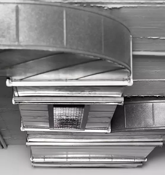 Professional Air Duct Pet Hair Removal in Citrus Heights, CA