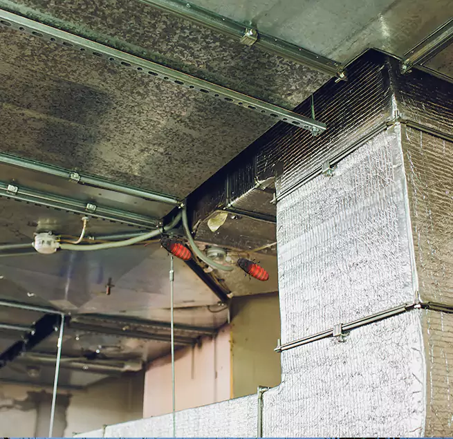 Why Homeowners & Businesses Trust Us in Citrus Heights, CA?