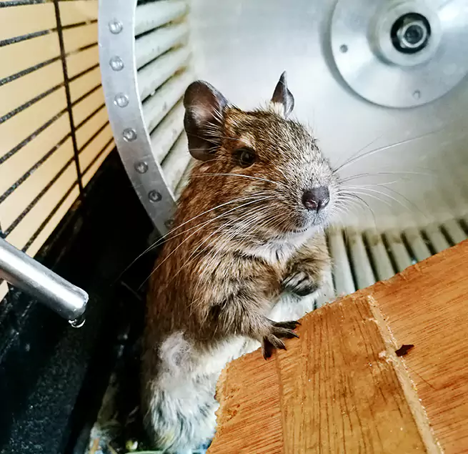 Why Homeowners & Businesses Trust Us Citrus Heights, CA