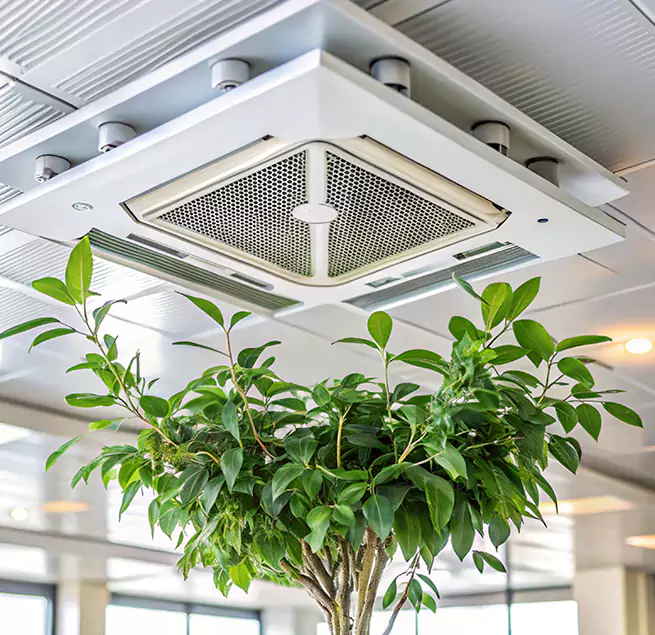 Why Homeowners & Businesses Trust Us in Citrus Heights, CA?