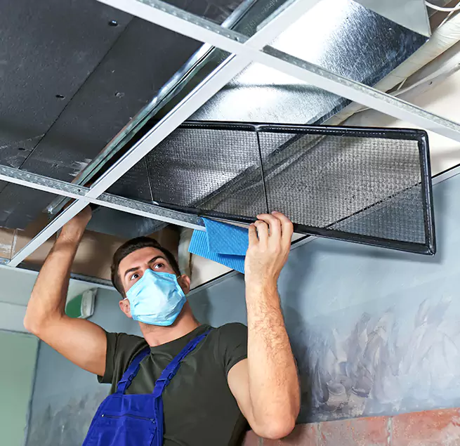  Why Homeowners Businesses Trust Us  in Citrus Heights, CA?